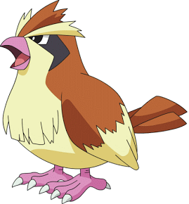 pidgey