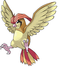 pidgeotto