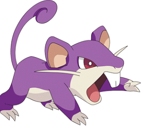 rattata