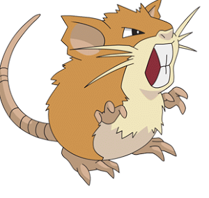 raticate