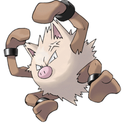 primeape