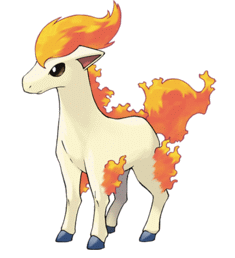 ponyta