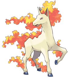 rapidash