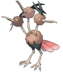 dodrio