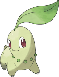 chikorita