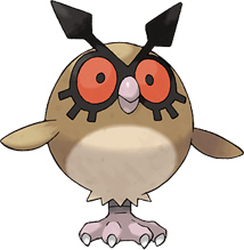 hoothoot