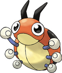 ledyba