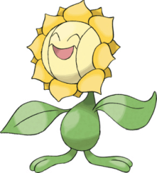 sunflora