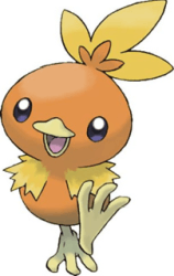torchic