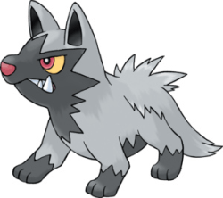 poochyena