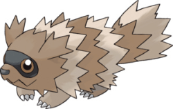 zigzagoon