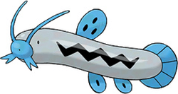 barboach