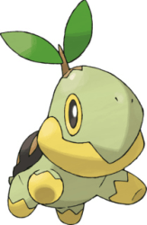 turtwig