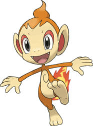 chimchar