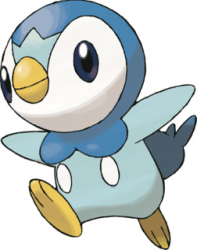 piplup
