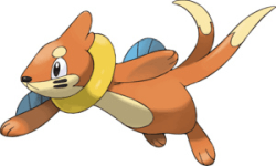 buizel