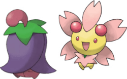 cherrim