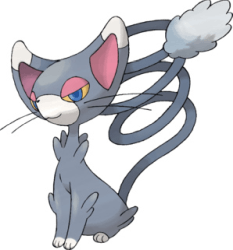 glameow