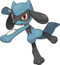 riolu
