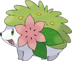 shaymin
