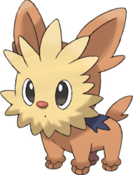 lillipup