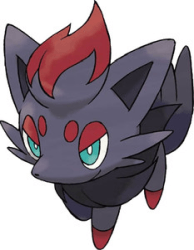 zorua