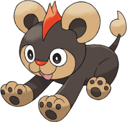 litleo