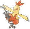 Combusken