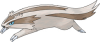 Linoone