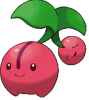 Cherubi