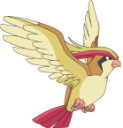 Pidgeot