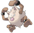 Primeape