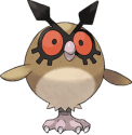 Hoothoot