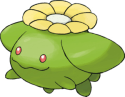 Skiploom