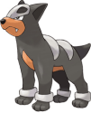 Houndour