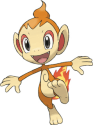 Chimchar
