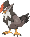 Staraptor