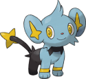 Shinx