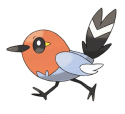 Fletchling